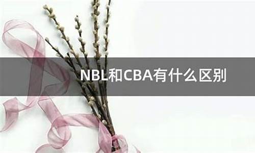 nbl和cba的区别_nbl全国男子篮球联赛