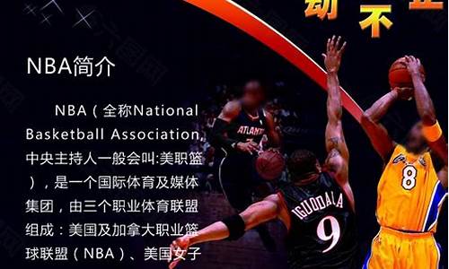 nba简介_NBA简介和发展